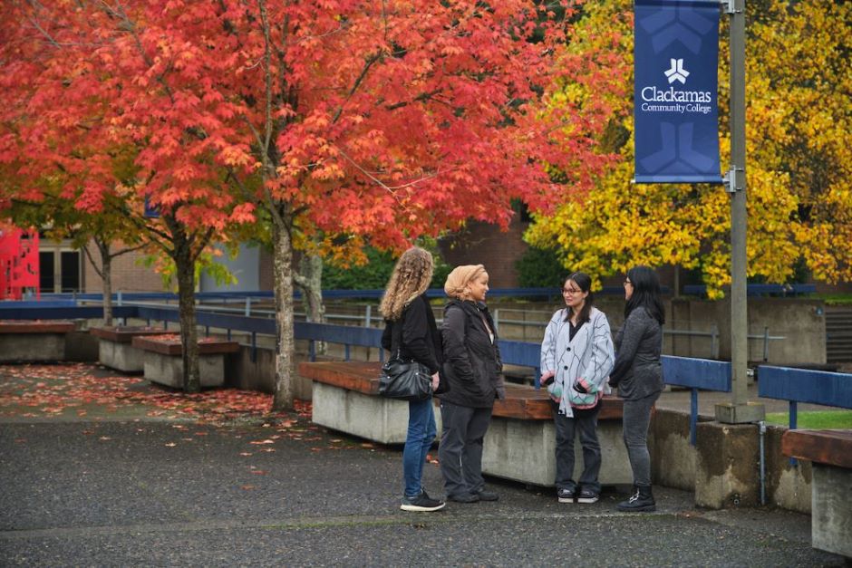 Home Background Image